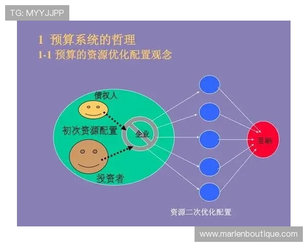 菲律宾欧博管理网在企业财务管理中的创新应用与实践经验分享