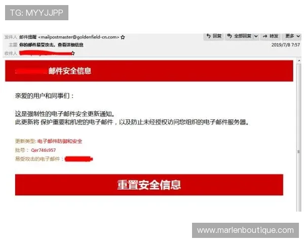 如何安全访问OG视讯网站入口，避免钓鱼和诈骗风险保障您的资金安全